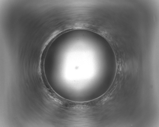 X0000066080292200603101147