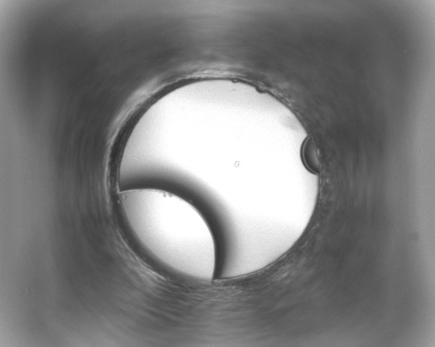 X0000066080296200603101147