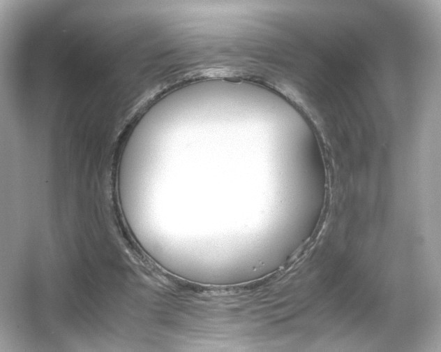 X0000066080297200603101147