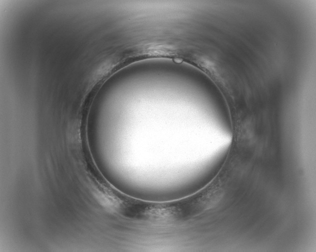 X0000066080299200603101147