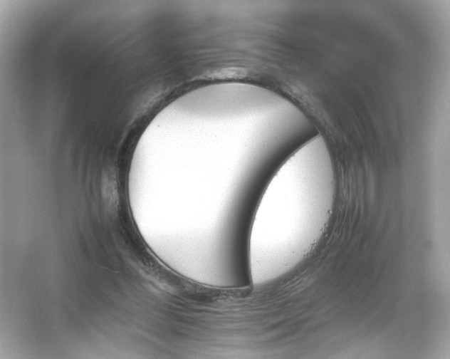 X0000066080300200603101147