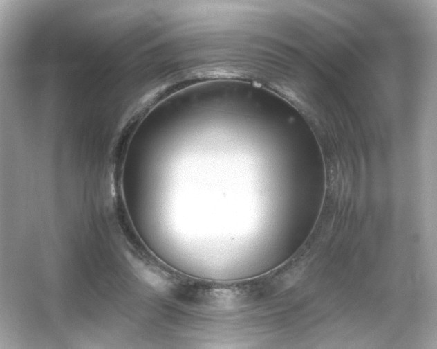 X0000066080302200603101147