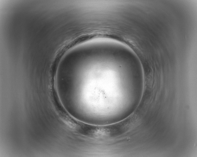 X0000066080303200603101147
