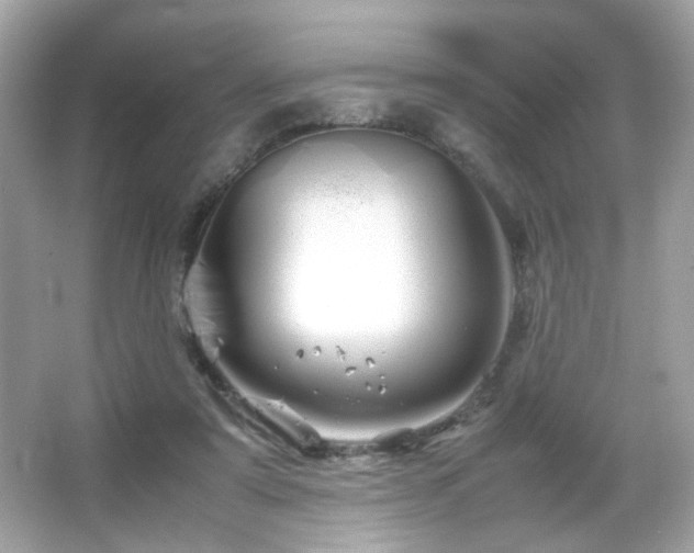 X0000066080307200603101147