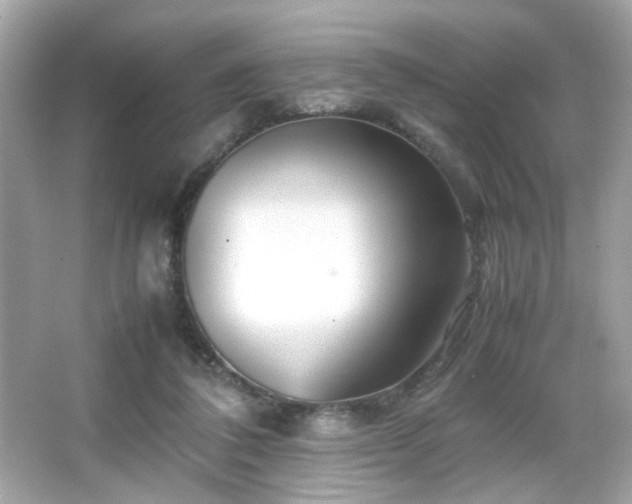 X0000066080308200603101147