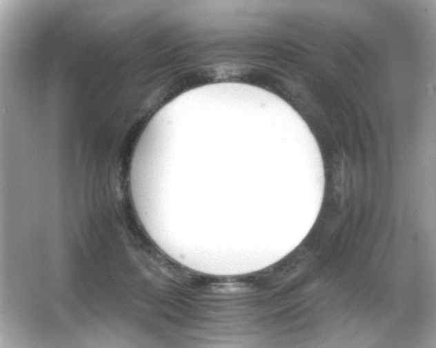 X0000066080316200603101147