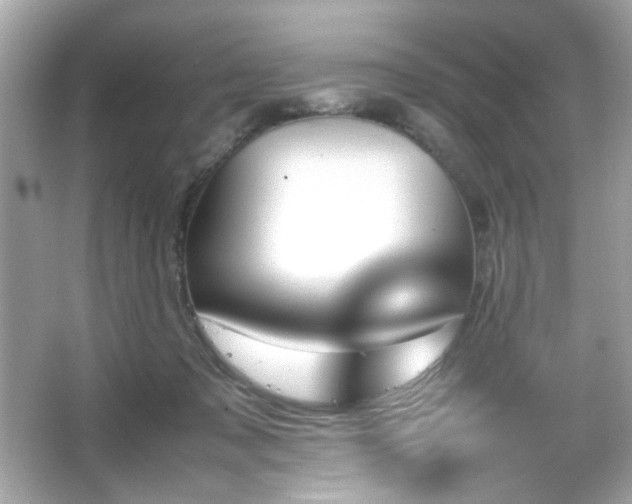 X0000066080317200603101147