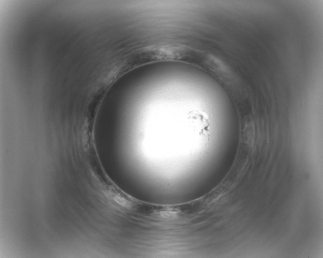 X0000066080318200603101147