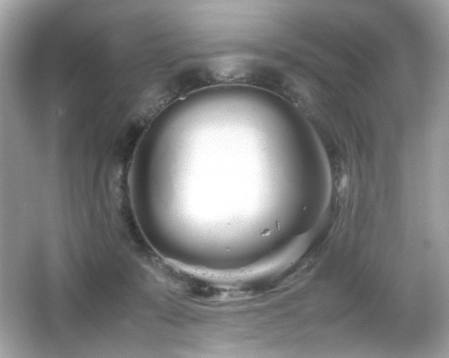 X0000066080319200603101147