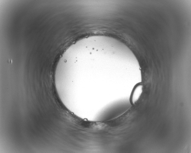 X0000066080321200603101147