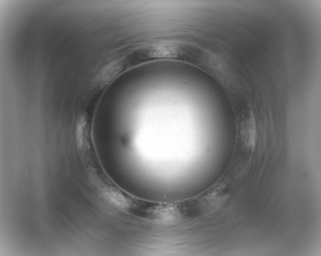 X0000066080322200603101147