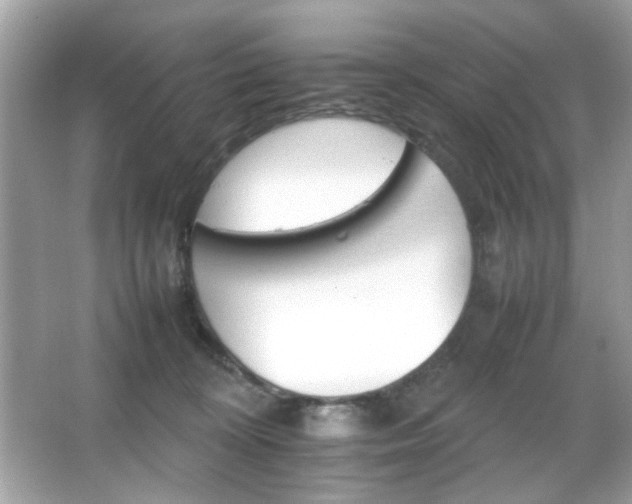 X0000066080324200603101147