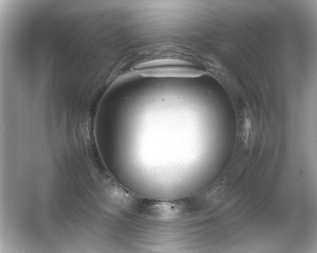 X0000066080326200603101147