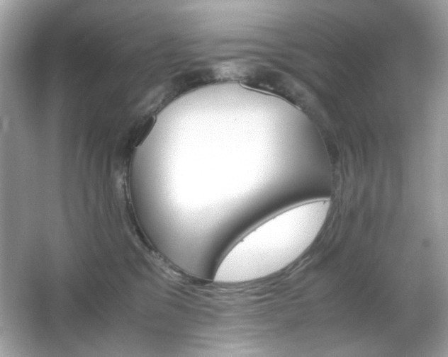 X0000066080329200603101147