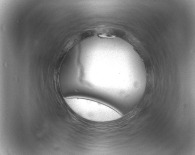 X0000066080333200603101147