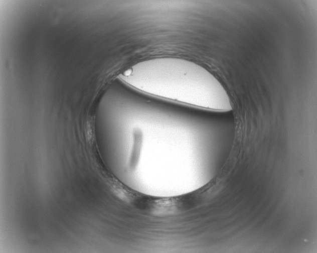 X0000066080335200603101146