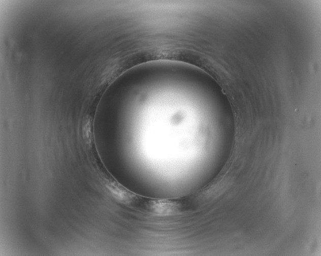 X0000066080336200603101146