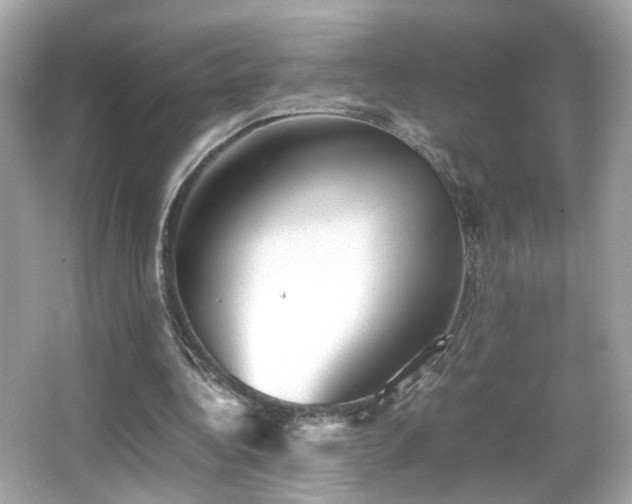 X0000066080340200603101146