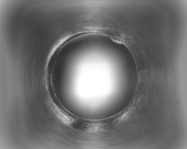 X0000066080342200603101146