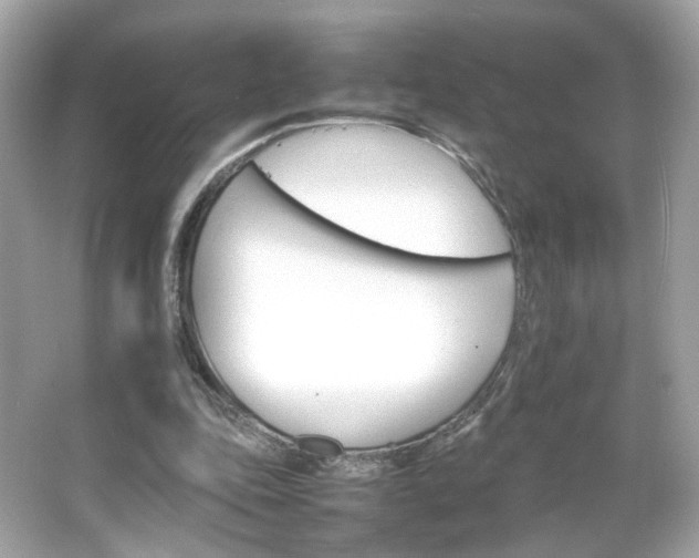 X0000066080343200603101146