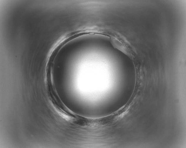 X0000066080344200603101146
