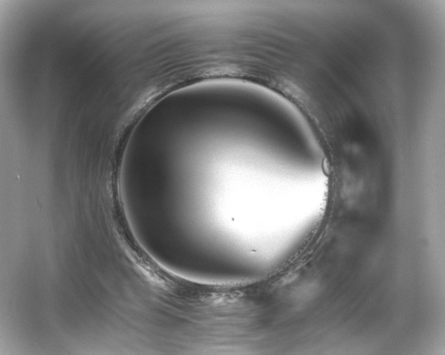 X0000066080345200603101146