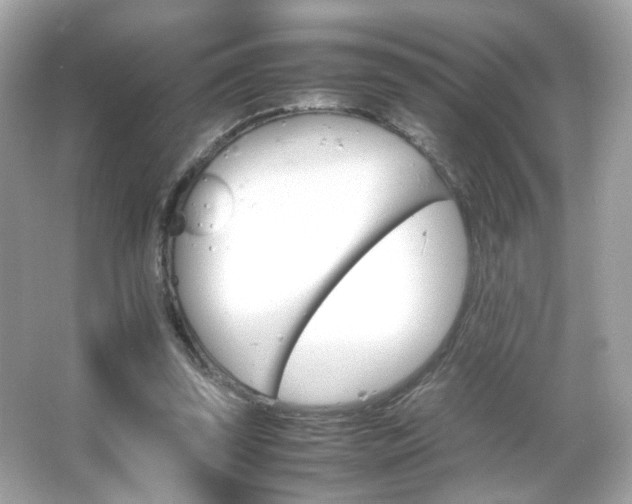 X0000066080347200603101146