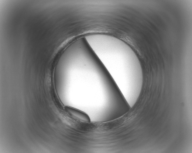 X0000066080348200603101146