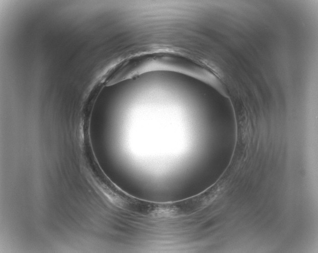 X0000066080350200603101146