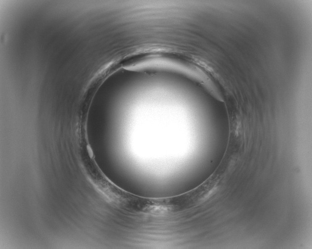 X0000066080352200603101146