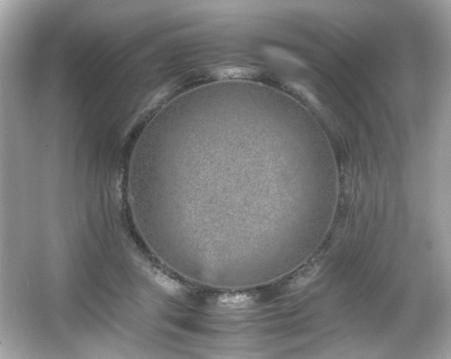 X0000066080357200603101146