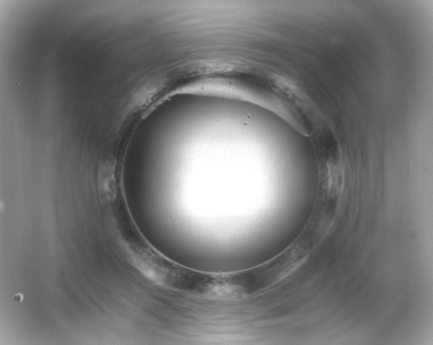 X0000066080360200603101146