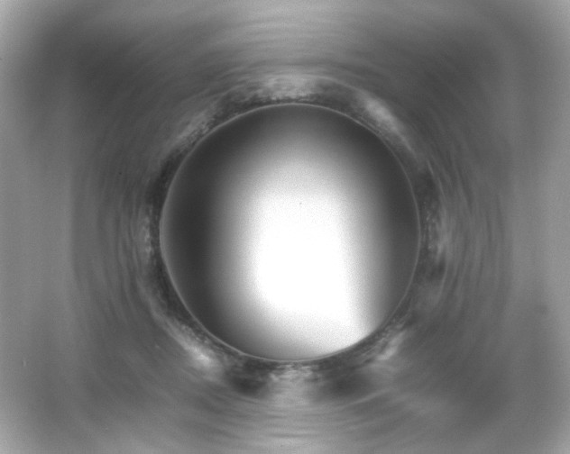 X0000066080362200603101146