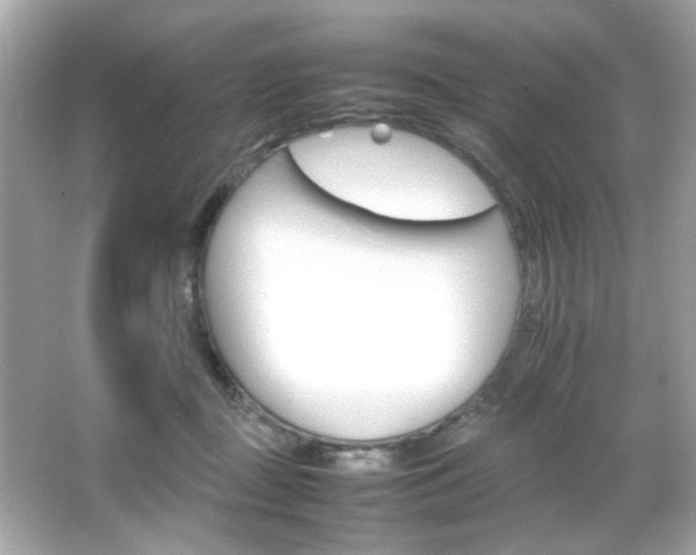 X0000066080363200603101146