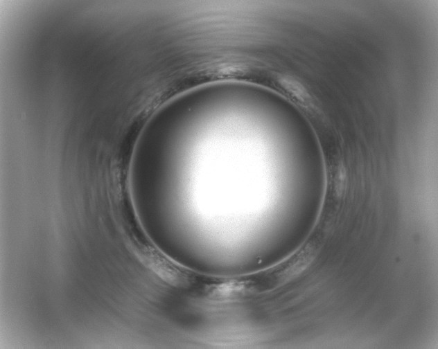 X0000066080366200603101146