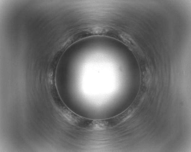 X0000066080368200603101146