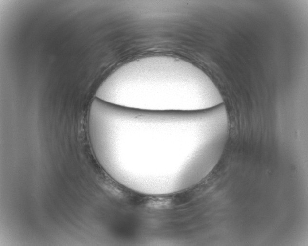 X0000066080369200603101146