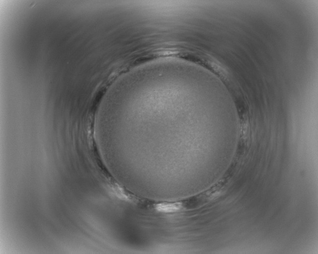 X0000066080373200603101146
