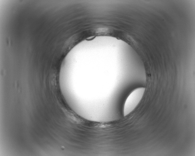 X0000066080379200603101146