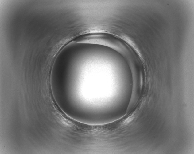 X0000066080385200603101146
