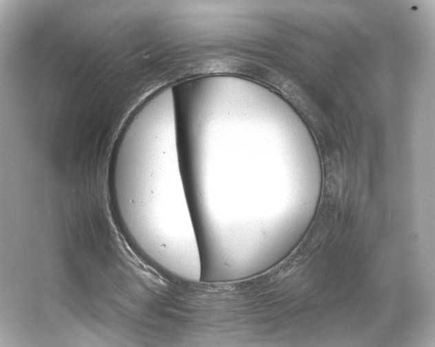 X0000066080386200603101146