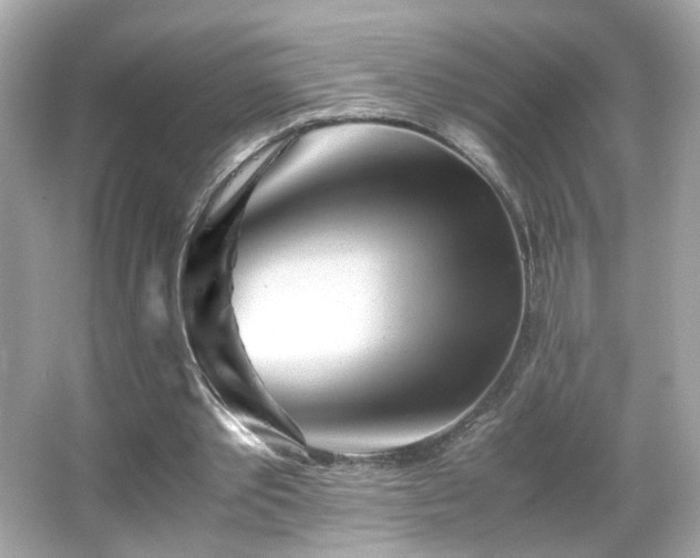 X0000066080389200603101146