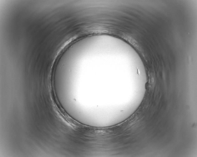 X0000066080390200603101146