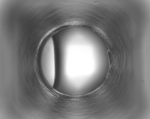 X0000066080392200603101146