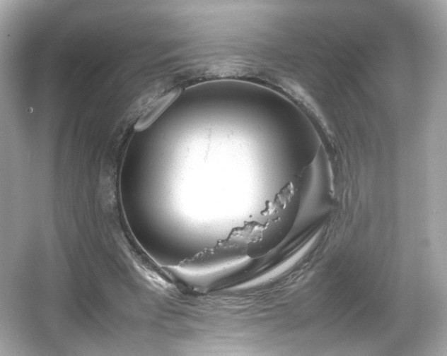 X0000066080393200603101146