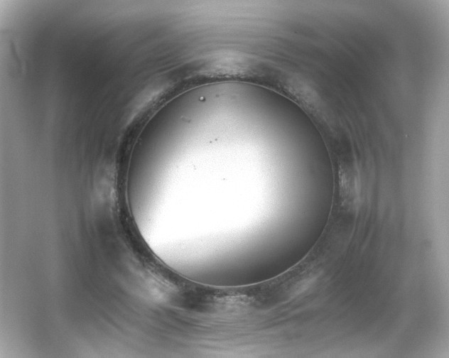 X0000066080396200603101145