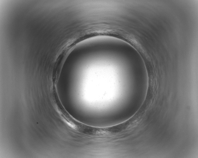 X0000066080397200603101145