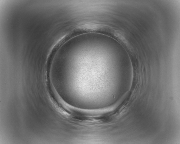 X0000066080399200603101145