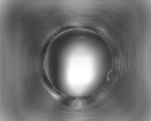 X0000066080404200603101145