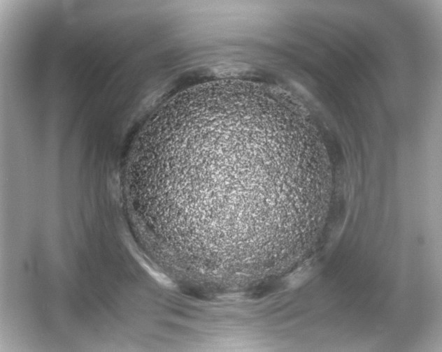 X0000066080405200603101145